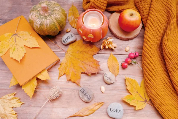 Herbstliche Komposition Auf Rustikalem Holztisch Garten Mit Kürbis Fallgelb Orangefarbenen — Stockfoto