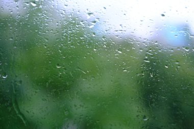 Dışarıda yaz yağmuru, odak noktasındaki ağaçların yeşil yaprakları, su damlalı arkaplan deseni, metin için yer, bulanık bokeh ile yatay pankart, doğa koruması, Şiddetli Hava Durumu