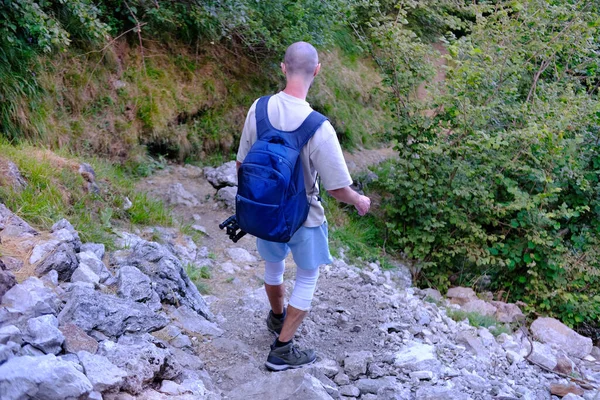 年轻人 背着背包在公园 山林里远足 沿着山路远足 有暑假的概念 有探险经历 — 图库照片