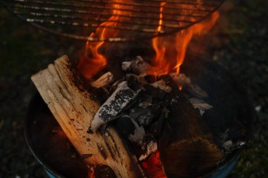 Kompakt ızgarada ateş yakmak, odun kütükleri kırmızı alevleri yutmak, yanan kömürlerde metal ızgaraya yakın durmak, aromatik dumanlar iştah açıcı bir şekilde yükseliyor, eğlenceli parti, mutlu çocukluk, aile aktiviteleri, açık havada yemek pişirmek.