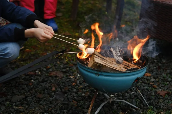 在烤架上烧烤 青少年在烤架上烹饪 在紧凑型烤架上烧着火 木柴吞没了红色的火焰 — 图库照片