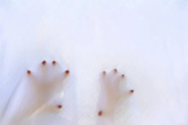 Eerie Blurry Hands People Have Been Trapped Glass Dense Fabric — Photo