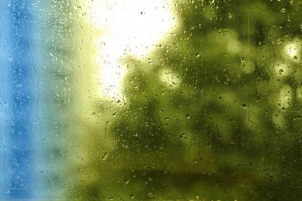 summer rain outside window, green foliage of trees, high-rise building out focus, texture glass of background with water drops, horizontal banner with blurry bokeh, nature protection, Severe Weather