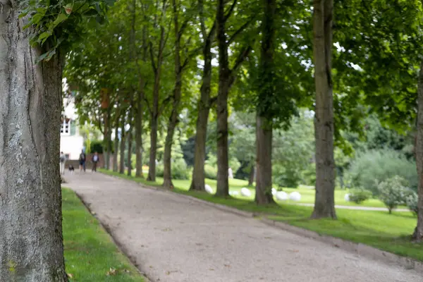blurred background of beautiful long alley in cultivated epoch-spanning English palace park, residence Landgraves of Hesse-Homburg, landscape design