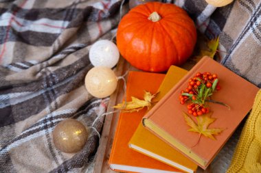 Sonbahar Sarı Yaprakları, Balkabağı, Kareli Sade Battaniye, Çelenk Topları, Turuncu Piracantha Çilekleri, Kitaplar, Sonbahar Dekoru ve Yaratıcılığı, Ekoloji ve Hasat