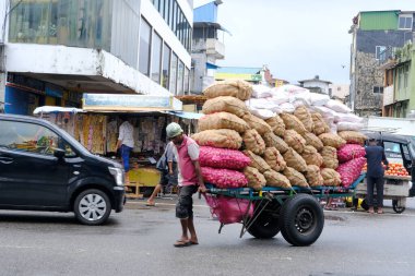 Sri Lankalı triportör şoförü, belli bölgelerde, Tuk-tuk, ekonomik eşitsizlikler ve düşük ücretli işgücü torbaları taşıyor, Colombo - 9 Kasım 2022