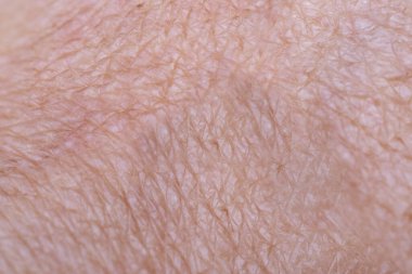 55 yaşında kadın eli kuru cilt hasarı, süper makro görüntü, konsept bakım cilt, dermatolojik hastalıklar, hidrasyon ve üst derinin besin değeri