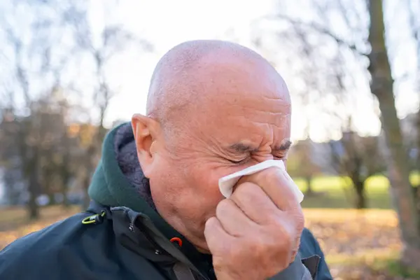 runny nose in adult, elderly man blowing nose into tissue while on walk, Outdoor activities for seniors, Seasonal allergies, Respiratory Health, Aging gracefully, Health in Cold Weather