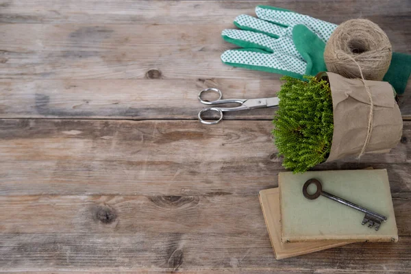 Green plants, gloves, scissors, gardening accessories on wooden table, concept transplanting plants, nature connection, Hobbies for Well-being