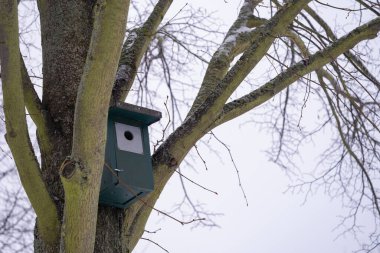 Tahta kuş yuvası yeni bahar sezonu için hazır, kış ağaçlarının arka planına karşı kamara, kuş yuvası konsepti, hayvanlara yardım, tasarımcı temeli