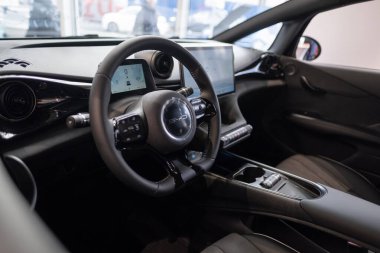 Direksiyon, vites, iç mekan, kokpit BYD DOLPHIN Elektrikli Araba, dijital panel, otomotiv endüstrisinde EV teknolojisi, hatchback Çinli imalatçı, Frankfurt 'ta Yenilik - 31 Ocak 2024