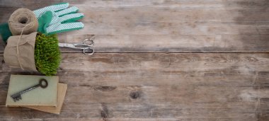 Yeşil bitkiler, eldivenler, makas, bahçe aksesuarları ahşap masa, konsept stres giderici ve bahçıvanlığın terapi faydaları