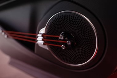 ses sistemi kontrolleri sürücü kapısında, fiziksel düğme anahtarları, joystickler, dahili BYD Atto 3 Electric Car, EV teknoloji otomotiv endüstrisi, Frankfurt 'ta icat - 31 Ocak 2024