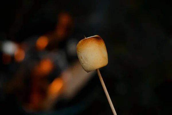 burning fire in compact grill, wood logs engulfed in red flames, closeup of fry marshmallows on fire, smoke rises, concept of fun party, happy childhood, family activity, cooking delicacy outdoors