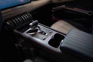 BYD ATTO 3 Car Electric Car, ergonomik merkez konsol, düğme anahtarları, joystickler, EV Çinli BYD üreticisi, dahili ekipman, otomotiv endüstrisindeki teknoloji, Frankfurt - 31 Ocak 2024