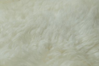 Yumuşak saçlı bej koyun derisi dokusu, tasarımcılar için doğal kürk, işleme konsepti, kürkçü ürünleri üretimi, stres atma, psikolojik stres