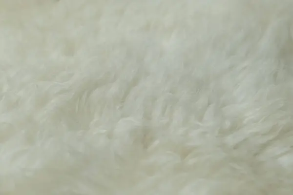 beige sheepskin texture with soft hairs, natural fur for designer, the concept of processing, production of furrier products, stress relief, psychological stress