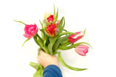 Kapanışta pembe ve sarı lale buketi kadın ellerinde, bahar mutluluğu, Paskalya dini sembolizmi, neşeli ruh Paskalyası, doğal ortamdaki sümbüllerin güzelliği.