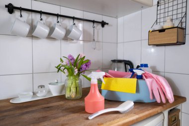 Canlı temizlik araçları, çeşitli mutfak ve diğer odalar için ev dekorasyonu, Bahar Temizliği, Taze Başlangıç