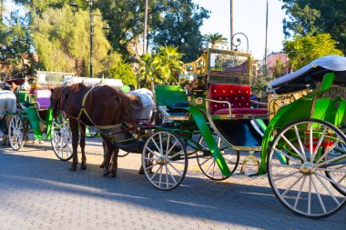 Turistler ve yerliler, canlı Marakeş sokaklarında at arabalarıyla geziyorlar, otantik ve hayat dolu şehir hayatı Fas krallığı, otantik deneyim
