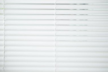 Beyaz ofis panjurları, sakin ortam çalışma alanı, rahatlama ve sükunet, üretkenlik için sakin zemin, doğa ile iç mekanları harmanlamak