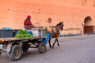 Marakeş halkı şehrin labirent sokaklarında geleneksel at arabasıyla, sebze taşımacılığı, Ebedi Cazibe, Marakeş, Fas