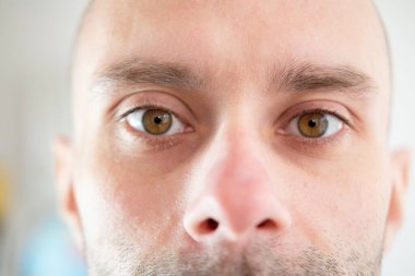 Intense gaze, Male Brown Eyes close-up, young Caucasian man looking, Masculine beauty, vision examination, myopia, eye fatigue, color perception clipart