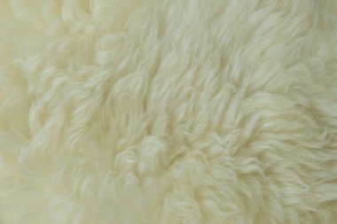 yumuşak saçlı bej koyun derisi dokusu, tasarımcı için doğal kürk, işleme konsepti, kürkçü ürünleri üretimi, stres atma, psikolojik stres