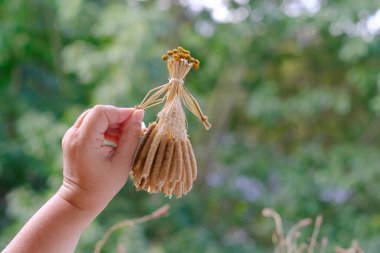 female hands holds ritual doll made of straw, grass in honor rich harvest, scarecrow for fertility, old toy, amulet for children, pagan folk art harvesting, ritual symbolic disguised character clipart