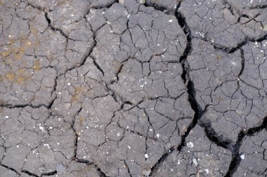 Yakın çekim toprağı aşındırdı, çatladı ve kurudu, kuraklıktan etkilenmiş toprak, çorak arazi, bitkisiz bitki örtüsü, kırılganlık gezegeninin kaynakları