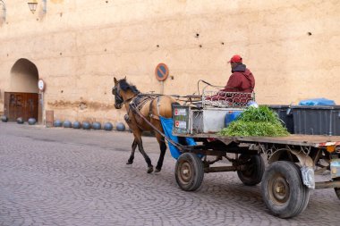 Marakeş halkı şehrin labirent sokaklarında geleneksel at arabasıyla, Marakeş 'in Ebedi Büyüsü, Marakeş, Fas - 3 Ocak 2024