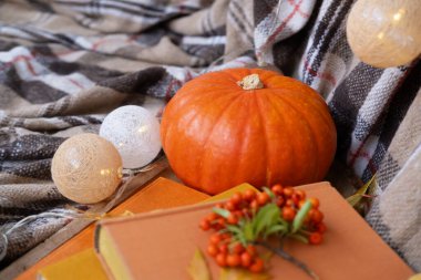 Sonbahar Dekoru ve Yaratıcılığı, Sonbahar Sarı Yaprakları, Balkabağı, Kareli örtüsü, Çelenk topları, Turuncu Pirakanta Çilekleri, kitaplar, Yaşam Tarzı ve Gevşeme