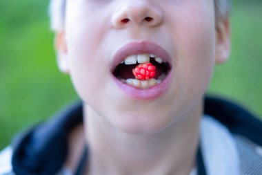 10 yaşındaki genç bir çocuk, dudaklarının arasında kırmızı böğürtlen, neşeli ve mutlu, basit zevkler, gururla beyaz dişlerini sergiliyor.