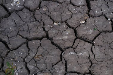 Yakın çekim toprağı aşındırdı, çatladı ve kurudu, kuraklıktan etkilenmiş toprak, çorak arazi, bitkisiz bitki örtüsü, kırılganlık gezegeninin kaynakları