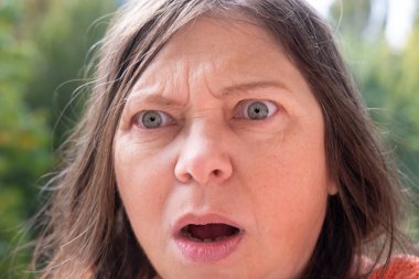 Olgun kadın, öğretmen, 50 'li yaşlarda pembe ceketli, çok şaşırmış, öfkeyle bağırıyor, profesyonel hedefler ile kişisel refah arasında denge kuruyor.