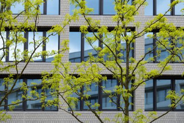 çok katlı ofis ve Avrupa şehrindeki konut binaları, yansıtıcı cam cepheler, modern yüksek binalar ve konut kuleleri, dinamizm çağdaş kentsel yaşam