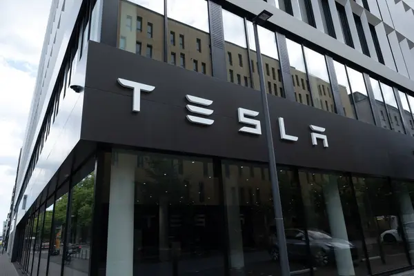 reklam logosu Tesla Motors ön cephede, elektrikli araba şirketi elon Musk brand, Otomotiv çevresel sürdürülebilir endüstri, Liderlik ve Yenilikler, Frankfurt, Almanya - 28 Haziran 2024