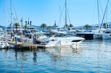 Çocuğun küçük ellerinde favori Pokmon kartı, genç hayran hevesle Pokmon kart koleksiyonu, sınırlı sayıda basım, Joy Fan Culture, Frankfurt - 18 Eylül 2024 