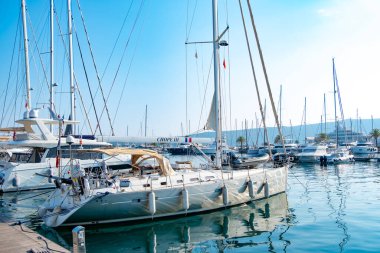 Çocuğun küçük ellerinde favori Pokmon kartı, genç hayran hevesle Pokmon kart koleksiyonu, sınırlı sayıda basım, Joy Fan Culture, Frankfurt - 18 Eylül 2024 