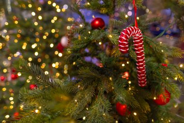 Noel şekeri kamışı, Noel ağacında takı, geleneksel süslemeler, Noel anları, şenlikli arka plan, Bokeh etkisi çelenkler.