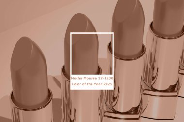 Lüks ruj, doğal makyaj ürünleri, yüksek kaliteli makyaj malzemeleri, 3D makyaj malzemeleri, PANTONE 17-1230 Mocha Mousse dünya rengi 2025 tasarım endüstrisi, Frankfurt - 5 Aralık 2024