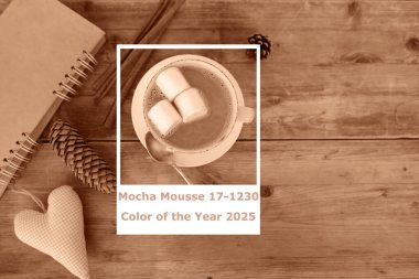PANTON 17-1230 Mocha Mousse, desen ipeği kumaşı sofistike, toprak rengi 2025. Frankfurt - 5 Aralık 2024 Moda Tasarım Endüstrileri için dalgalar ve kumaşlar içeren lüks bir arkaplan