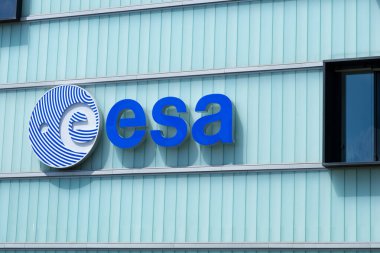 Çocuğun küçük ellerinde favori Pokmon kartı, genç hayran hevesle Pokmon kart koleksiyonu, sınırlı sayıda basım, Joy Fan Culture, Frankfurt - 18 Eylül 2024 