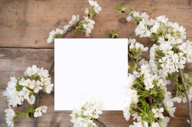 Paskalya, Anneler Günü için çiçek açan kiraz dalları, ya da tebrik kartları, boş alan, sümbüllü bahar çiçeği aranjmanı.