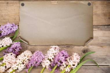 Spring floral Blooming hyacinths background for Easter, Mother's Day, or greeting cards, blank space, Springtime arrangement with hyacinths clipart