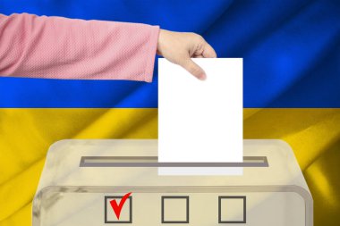 Ukrayna bayrağı, Seçim Süreci ve Demokrasisi, Adil Seçimler ve Yolsuzlukla Mücadele