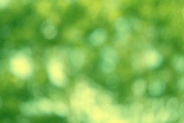 güneşli yeşil doğal bulanık bokeh ışıkları, soyut arka plan afişi güneş parlaması, rüzgarda yeşil yapraklar uçuşuyor, yaz mevsimi, iyi hava, doğal yerleştirme sunumu