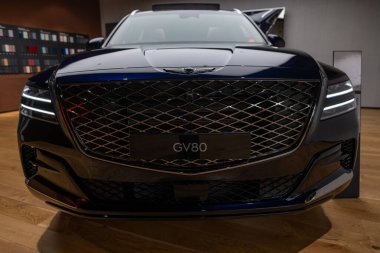 Kotor Körfezi marinasındaki lüks yatlar, Porto Karadağ 'daki son model marinaya yanaşmış, arkasında Montenegros ikonik dağları, Tivat, Karadağ - 6 Ağustos 2024 