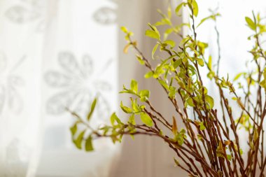 İnce dalların üzerinde canlı yeşil yapraklarla, doğanın güzelliğini yakalayarak, ince dallarda filizlenerek, büyüyerek ve yenilenerek, doğadan esinlenerek, bahar dekorasyonundan esinlenerek yeni bir hayat doğar.