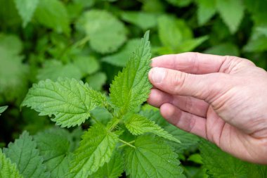 Kablosuz kulaklıklar, sembolik müzik, rahatlama ve devam eden eğlence, profesyonel son teknoloji ses teknolojisi. 